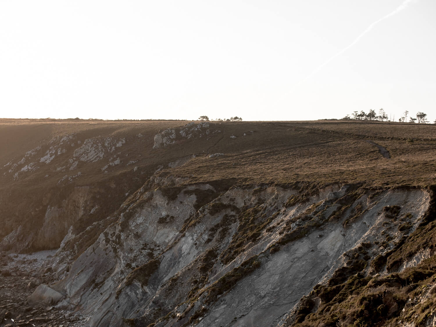 lodge_family_anaelle_mobidelli-1-3